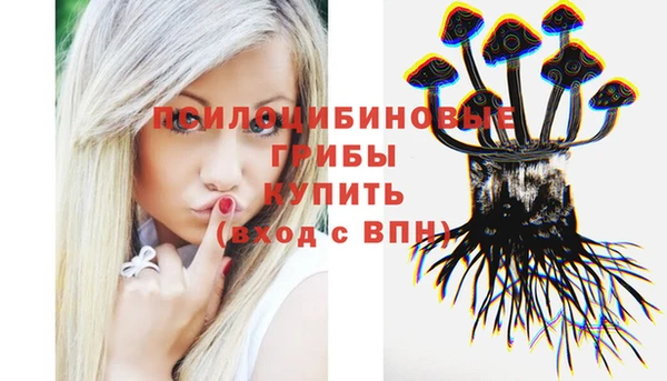стаф Покров