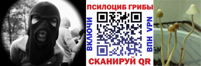 Купить закладки Шиханы Псилоцибиновые грибы ЛСД